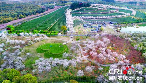 外媒记者领略江西风采 黄马乡走进国际视线