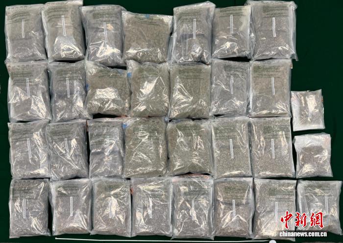 香港海关检获约600万港元疑似大麻花毒品